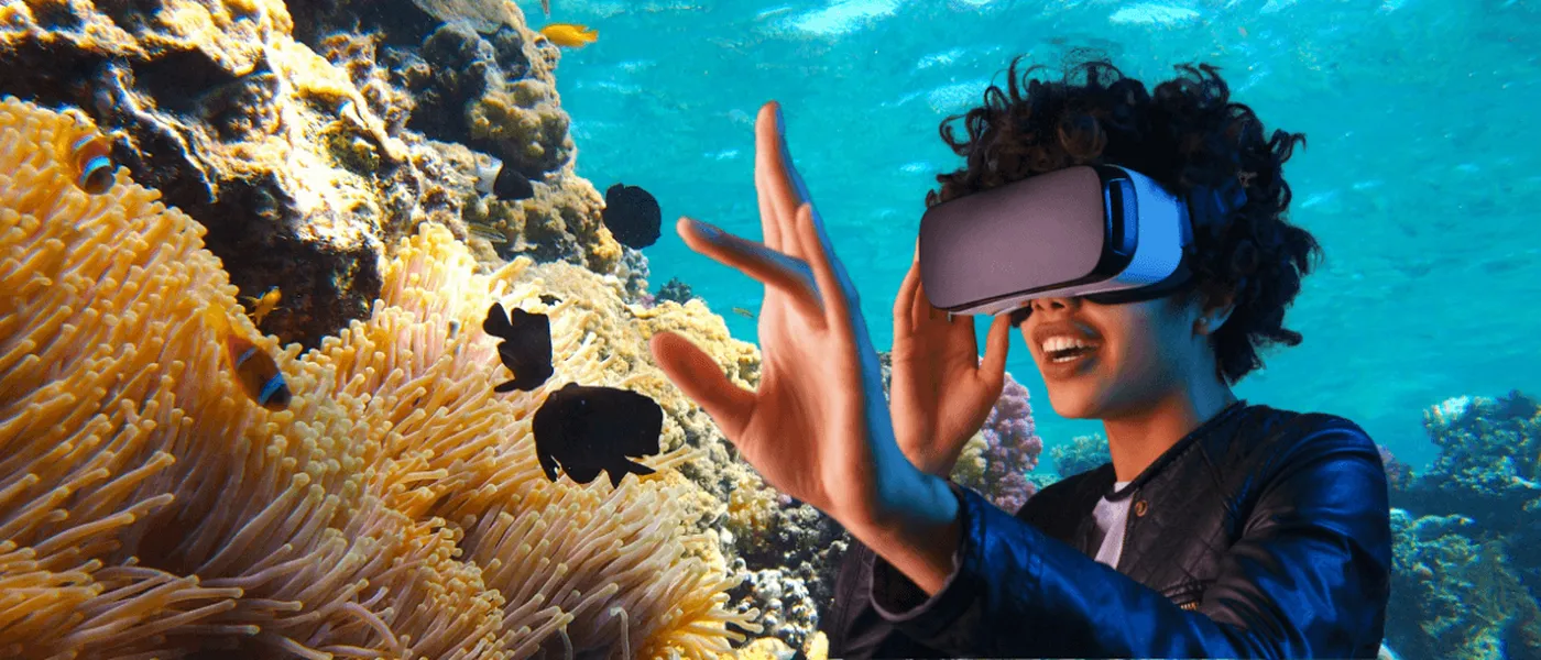 Virtual Reality Experience 