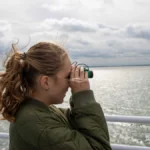 Zeehonden Safari