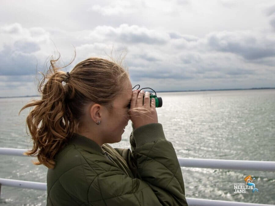 Zeehonden Safari
