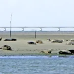 Rondvaart