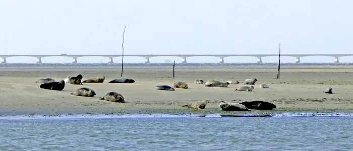 Rondvaart