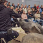 Deltapark Neeltje Jans Familiedag
