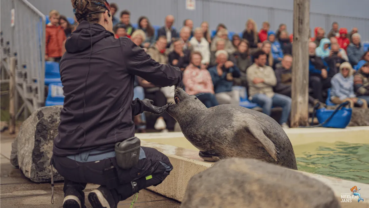 Deltapark Neeltje Jans Familiedag