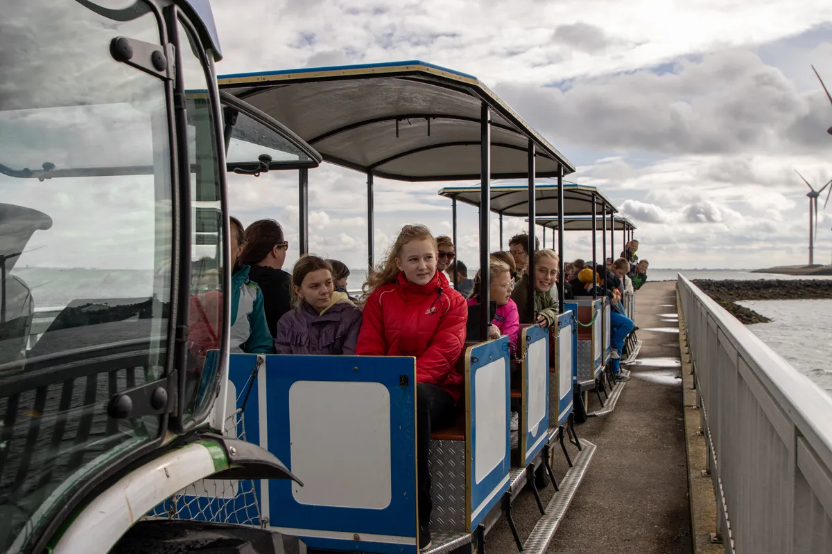 Park train