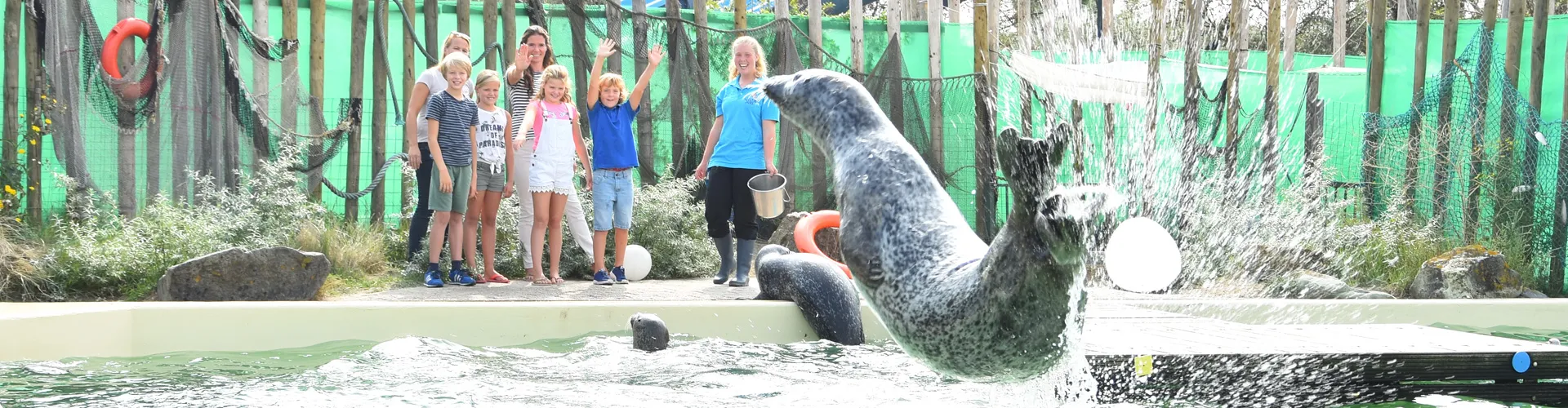 Kinderfeestje zoenen met zeehonden