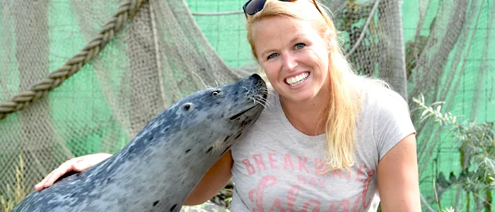 dichterbij zeehonden