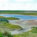 Duinlandschap Neeltje Jans