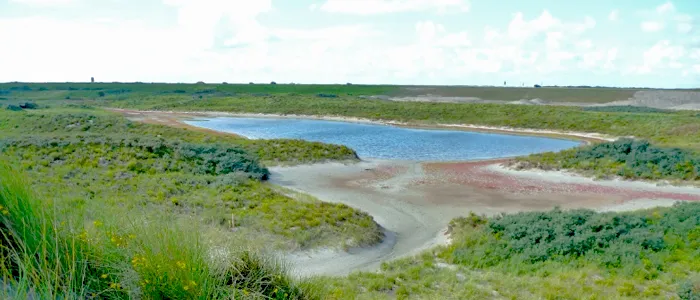 Duinlandschap Neeltje Jans