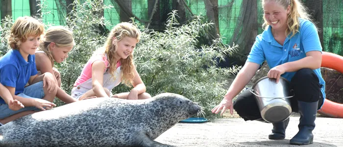 Kinderfeestje zoenen met zeehonden