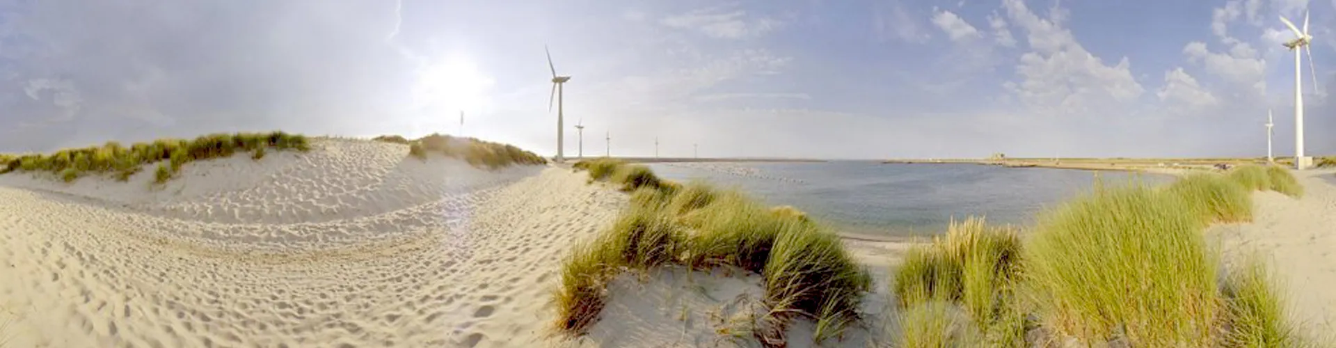 Duinlandschap Neeltje Jans