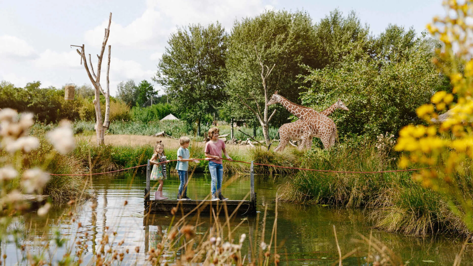 ZooParc Overloon korting