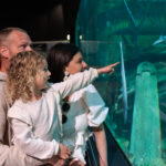 Kind wijst enthousiast naar vissen in het zeeaquarium