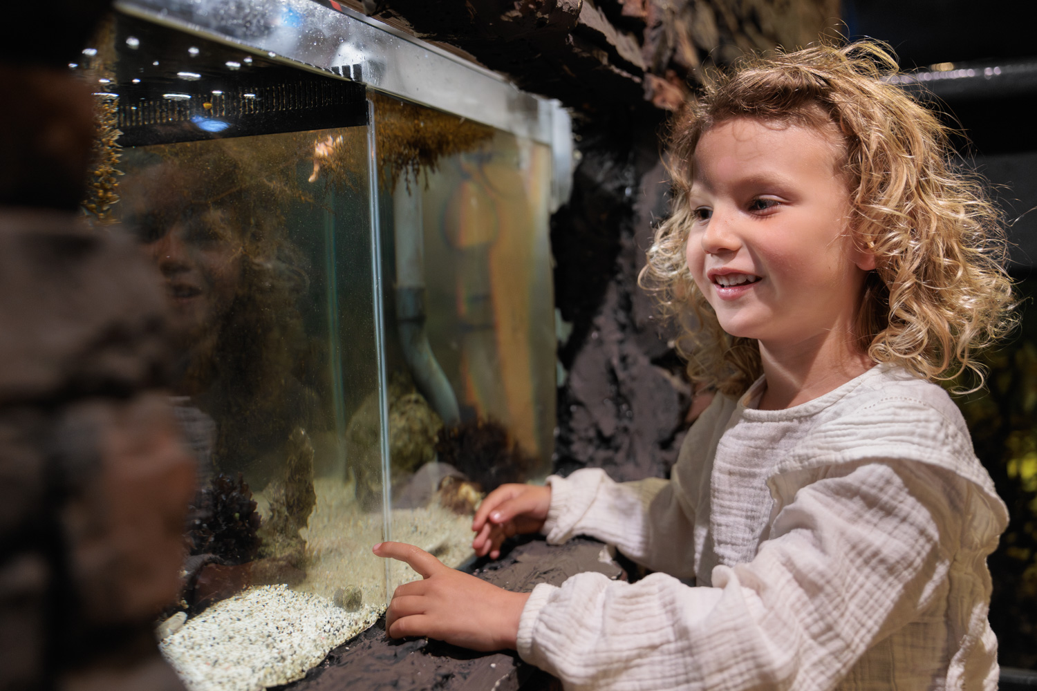 Een kind kijkt nieuwsgierig naar een aquarium vol zeeleven in Deltapark Neeltje Jans.