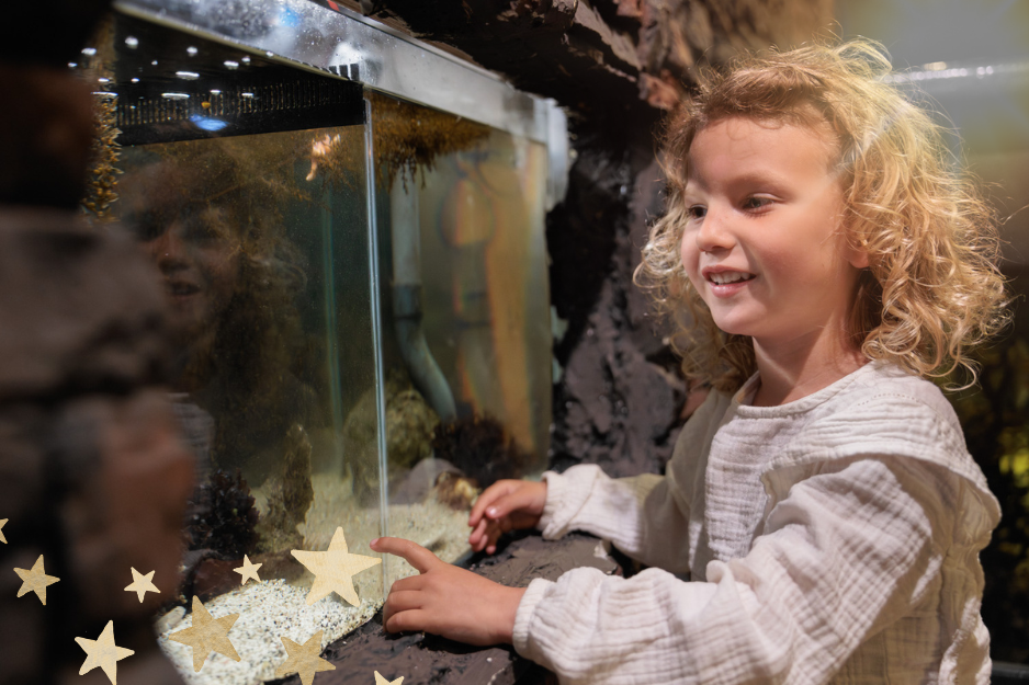 Een kind kijkt nieuwsgierig naar een aquarium vol zeeleven in Deltapark Neeltje Jans.