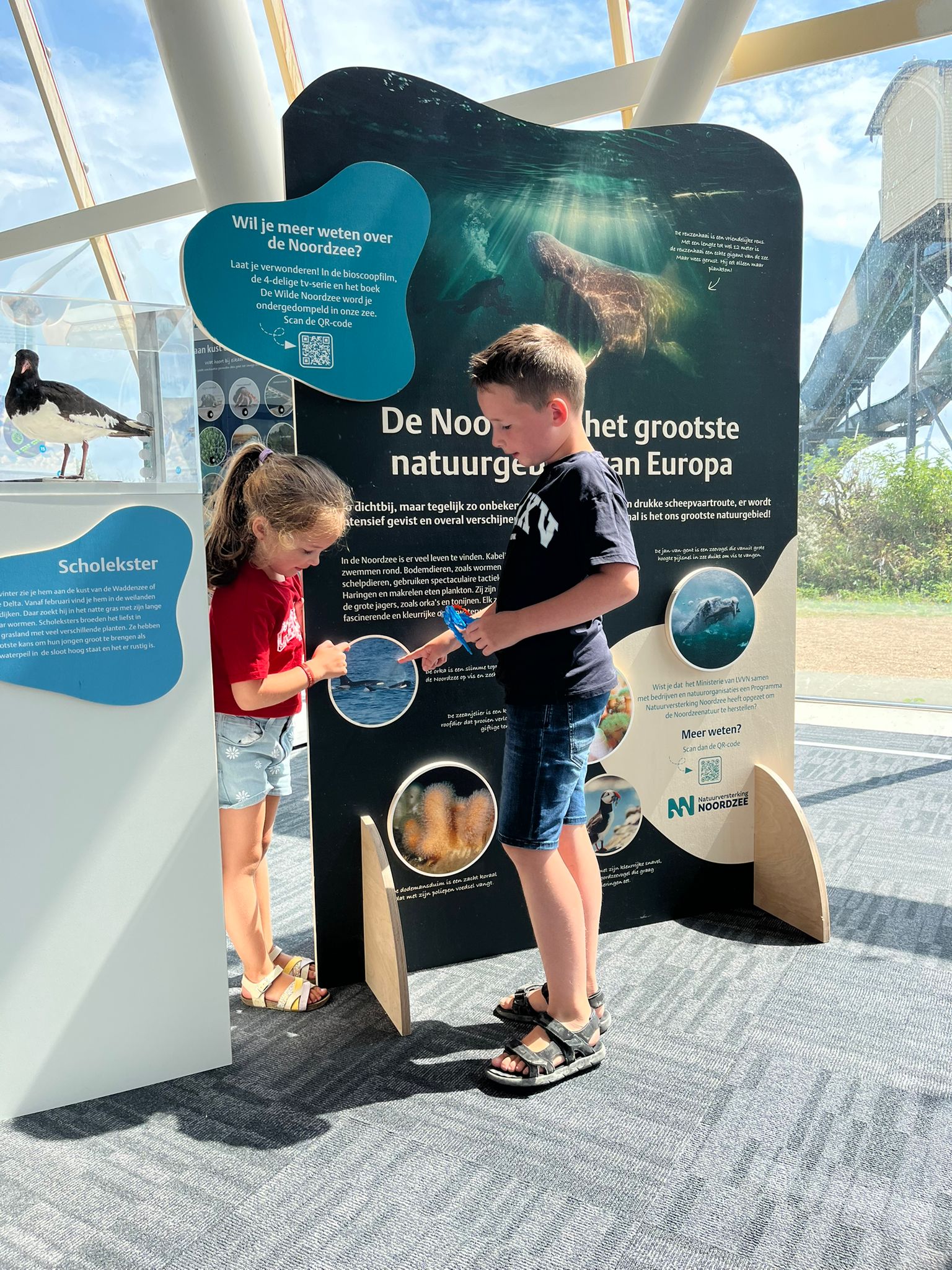 Twee kinderen bekijken een interactief paneel in een tentoonstellingsruimte over de Noordzee, met informatieborden, afbeeldingen van zeehonden en een model van een vogel op de achtergrond.