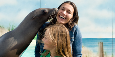 Afbeelding bij Closer to Sea Lions