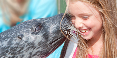 Afbeelding bij Kinderparty Küsschen für die Seehunde