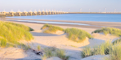 Afbeelding bij Tour of the dune landscape Neeltje Jans