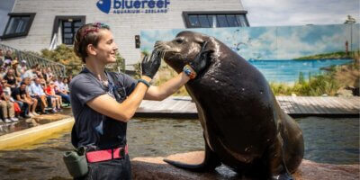 Afbeelding bij Dierenverzorg(st)er